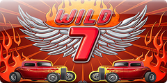 Wild 7