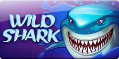 Wild Shark