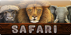 Safari