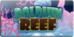 Dolphin Reef