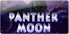 Panther Moon